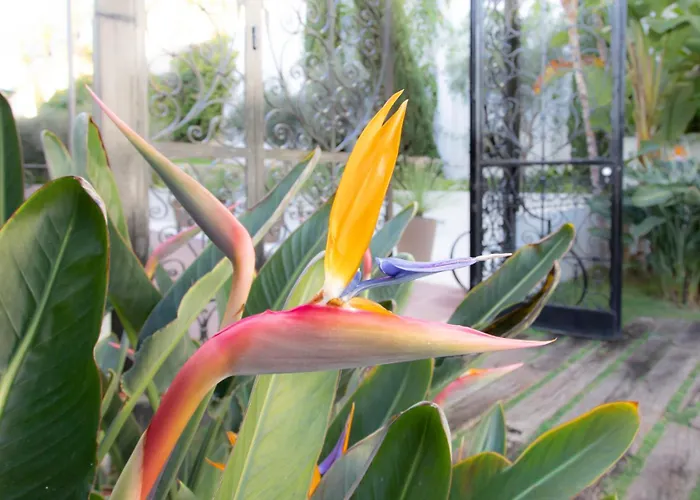 #22 Staywiz Us - Duplex Panoramic Sea View 2bdr, Ac, Swimpool, Parking, Petanque